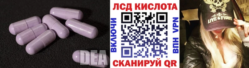 LSD-25 экстази ecstasy  где найти   shop Telegram  Светлогорск 