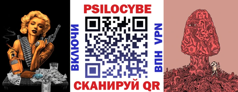 где купить наркотик  Светлогорск  нарко площадка формула  Псилоцибиновые грибы Magic Shrooms 